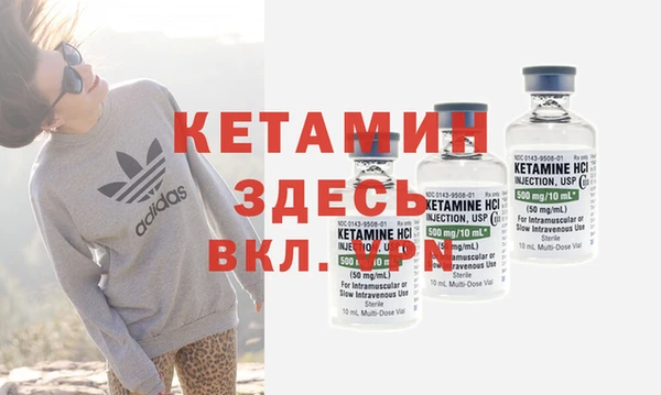 ешки Новодвинск