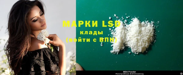 ешки Новодвинск