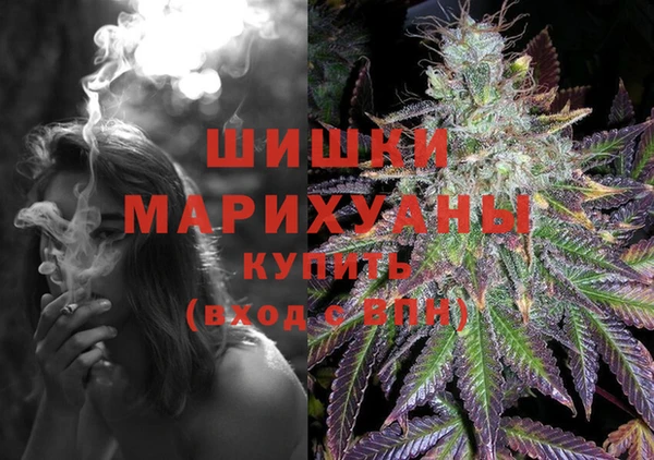 ешки Новодвинск